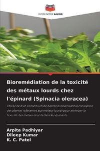 Produktbild: Biorem&eacute;diation de la toxicit&eacute; des m&eacute;taux lourds chez l'&eacute;pinard (Spinacia oleracea)
