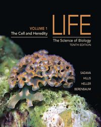 Produktbild: Sadava, D: Life: The Science of Biology 1