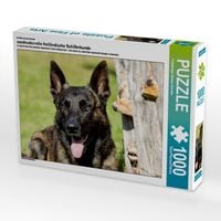 Produktbild: CALVENDO Puzzle Ein Motiv aus dem Kalender ausdrucksvolle Holl&auml;ndische Sch&auml;ferhunde | 1000 Teile Lege-Gr&ouml;&szlig;e 64x48cm Foto-Puzzle f&uuml;r gl&uuml;ckliche Stunden