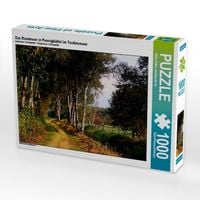 Produktbild: CALVENDO Puzzle Das Randmoor in Pennigb&uuml;ttel im Teufelsmoor | 1000 Teile Lege-Gr&ouml;&szlig;e 64x48cm Foto-Puzzle f&uuml;r gl&uuml;ckliche Stunden
