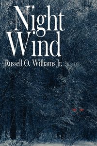 Produktbild: Night Wind