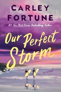 Produktbild: Our Perfect Storm