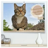 Produktbild: Schnurrende Augenblicke (hochwertiger Premium Wandkalender 2027 DIN A2 quer), Kunstdruck in Hochglanz