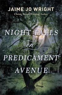Produktbild: Night Falls on Predicament Avenue