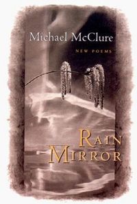 Produktbild: Rain Mirror: Poems