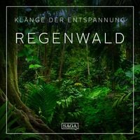 Produktbild: Kl&auml;nge der Entspannung - Regenwald