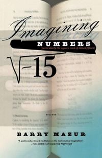 Produktbild: Imagining Numbers