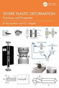 Produktbild: Ravisankar, B: Severe Plastic Deformation