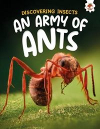 Produktbild: Discovering Insects: An Army of Ants