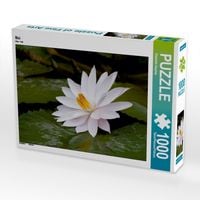 Produktbild: CALVENDO Puzzle Mai | 1000 Teile Lege-Gr&ouml;&szlig;e 64x48cm Foto-Puzzle f&uuml;r gl&uuml;ckliche Stunden