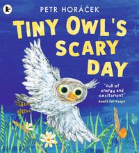 Produktbild: Tiny Owl's Scary Day