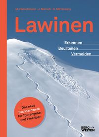 Bild vom Artikel Lawinen vom Autor Jan Mersch