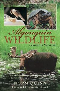 Produktbild: Algonquin Wildlife