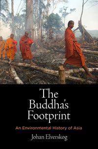 Produktbild: The Buddha's Footprint