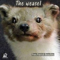 Produktbild: The weasel