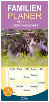 Produktbild: Familienplaner 2026 - Kitten auf Entdeckungsreise mit 5 Spalten (Wandkalender, 21 x 45 cm) CALVENDO