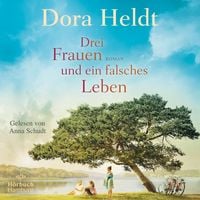 Produktbild: Drei Frauen und ein falsches Leben (Die Haus am See-Reihe 3)