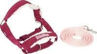 Produktbild: Bibi & Tina Hobby Horse Halfter-Set "Sabrina