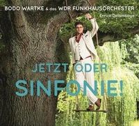 Produktbild: Jetzt oder Sinfonie !