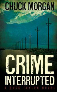 Produktbild: Crime Interrupted