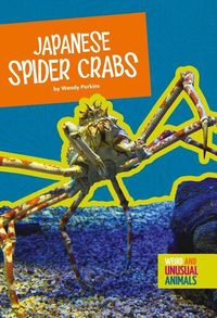 Produktbild: Japanese Spider Crabs