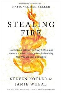 Produktbild: Stealing Fire