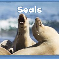 Produktbild: Seals