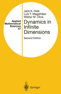 Produktbild: Dynamics in Infinite Dimensions