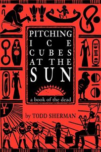 Produktbild: Pitching Ice Cubes at the Sun