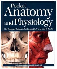 Bild vom Artikel Ashwell, K: Pocket Anatomy & Physiology vom Autor Ken Ashwell
