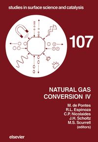 Produktbild: Natural Gas Conversion IV