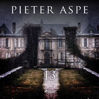 Produktbild: 13