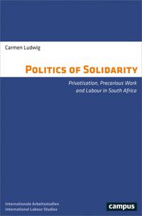 Produktbild: The Politics of Solidarity