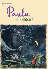 Produktbild: Paula in Gefahr