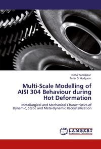 Produktbild: Multi-Scale Modelling of AISI 304 Behaviour during Hot Deformation