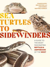 Produktbild: Sea Turtles to Sidewinders