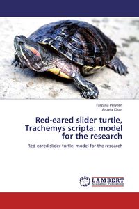 Produktbild: Red-eared slider turtle, Trachemys scripta: model for the research