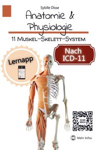 Bild vom Artikel Anatomie & Physiologie Band 11: Muskel-Skelett-System vom Autor Sybille Disse