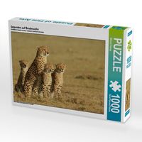 Produktbild: Geparden auf Beutesuche (Puzzle)