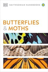 Produktbild: Butterflies and Moths