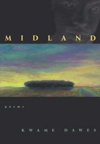 Produktbild: Midland