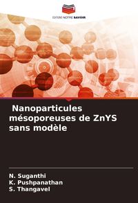 Produktbild: Nanoparticules m&eacute;soporeuses de ZnYS sans mod&egrave;le