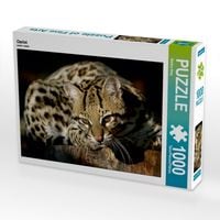 Produktbild: CALVENDO Puzzle Ozelot | 1000 Teile Lege-Gr&ouml;&szlig;e 64x48cm Foto-Puzzle f&uuml;r gl&uuml;ckliche Stunden