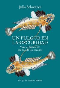 Produktbild: Un fulgor en la oscuridad