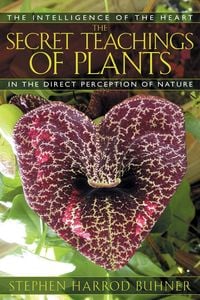 Produktbild: The Secret Teachings of Plants