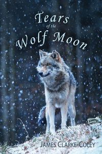 Produktbild: Tears of the Wolf Moon
