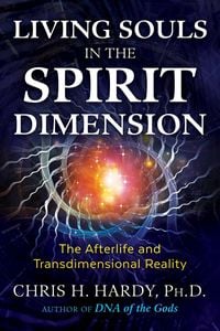 Produktbild: Living Souls in the Spirit Dimension