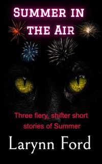 Produktbild: Summer in the Air