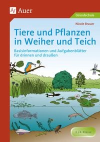 Produktbild: Tiere und Pflanzen in Weiher und Teich