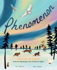 Produktbild: Phenomenon
